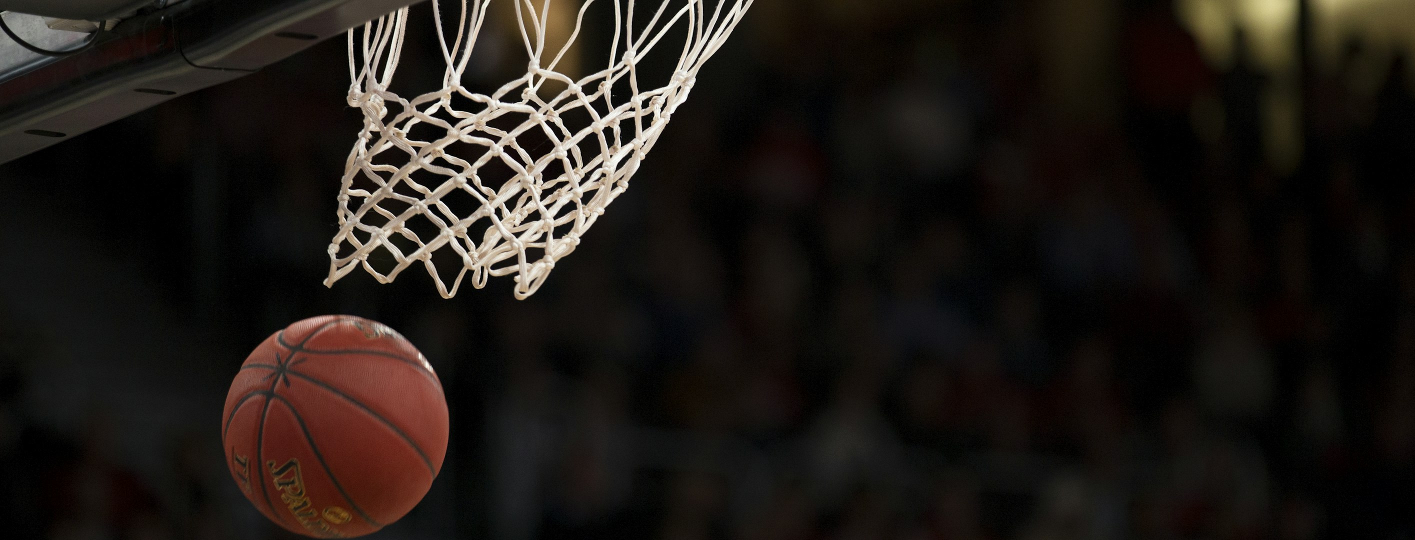 球探体育主横幅 - NBA球员扣篮与英超球员庆祝的合成动态场景，充满能量与激情